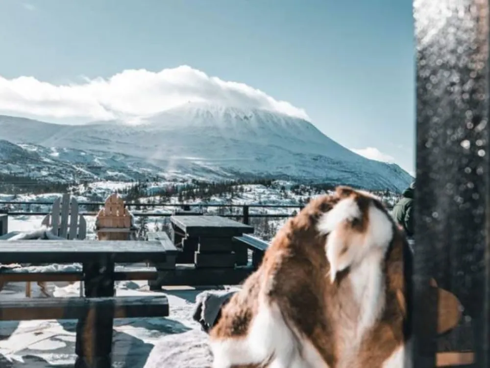 Weekendpaket med skipass till Gaustablikk Fjellresort