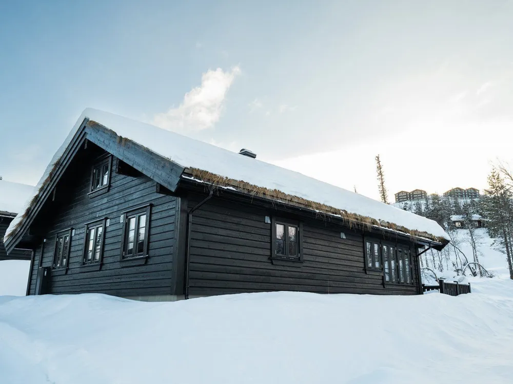 Løkjestaul B83
